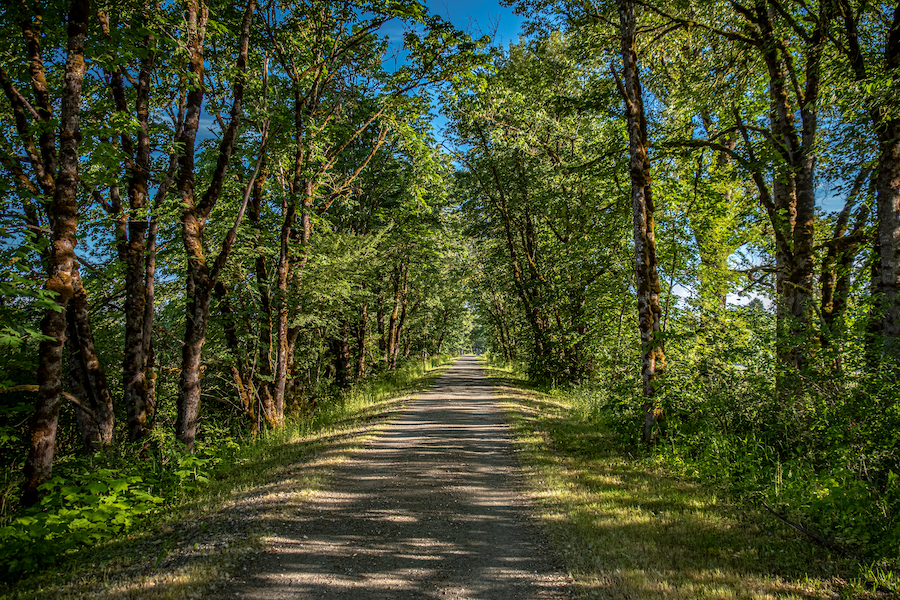Snoqualmie Valley Trail | Photo by Eli Brownell, courtesy King County Parks 3