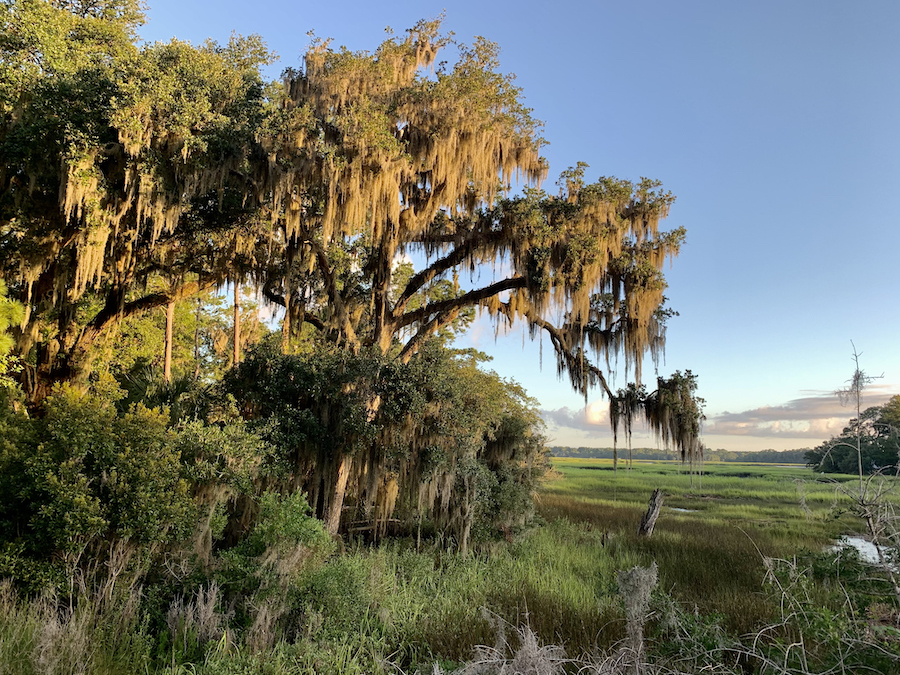 South Carolina's Spanish Moss Trail | Photo by Alexander Kreher, courtesy Ost Haus