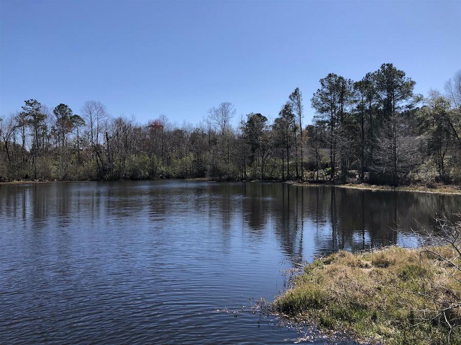 South Carolina's Waccamaw Neck Bikeway | Photo by TrailLink user marydegange