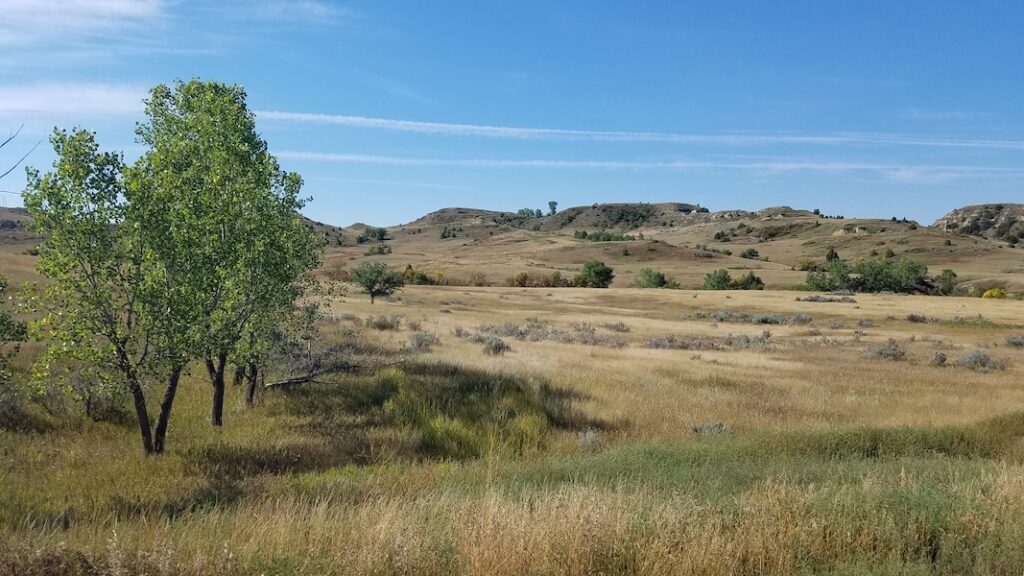 South Dakota's George S. Mickelson Trail | Photo by Carol Alexander