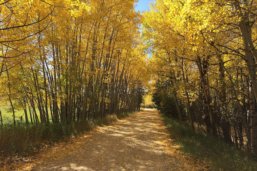 South Dakota's George S. Mickelson Trail | Photo by Russ Tiensvold