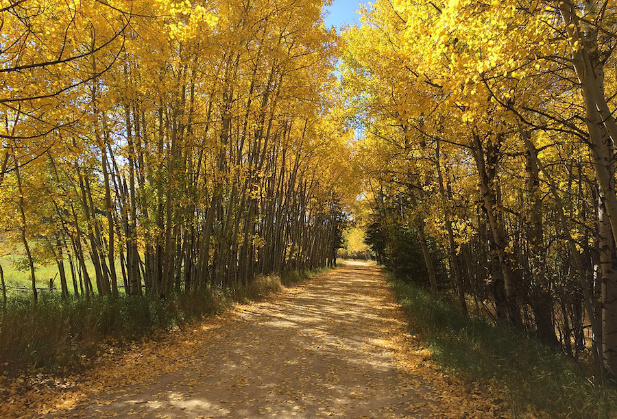 South Dakota's George S. Mickelson Trail | Photo by Russ Tiensvold