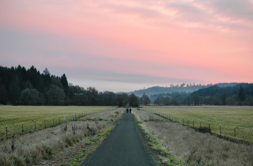 Southern end of the Banks-Vernonia State Trail | Photo by Kelly R. Williams