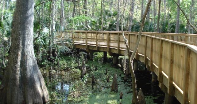 Spring to Spring Trail | Courtesy Pat Northey