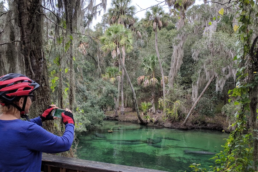 Spring to Spring Trail in Blue Spring State Park | Courtesy St. Johns River to Sea Loop Alliance