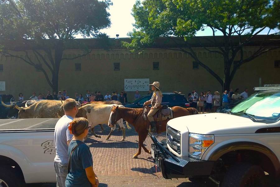 Stockyards near Texas' Trinity Trails | Photo by TrailLink user timothyfish