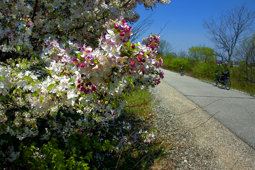 Stretching nearly 62 miles, the Cardinal Greenway is the state’s longest rail-trail. | Photo courtesy Cardinal Greenways Inc