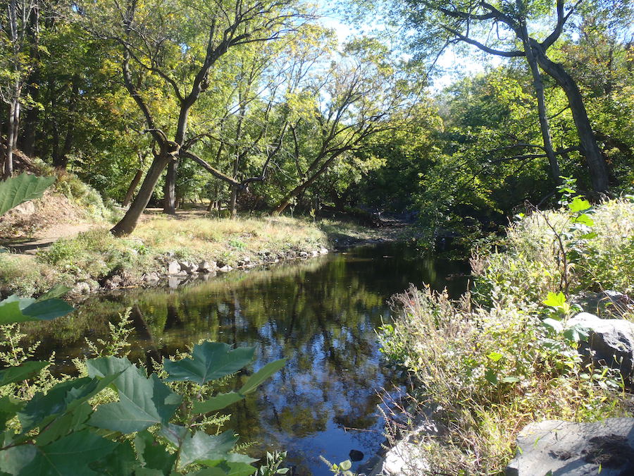 Tacony Creek Park near Roosevelt Boulevard | Courtesy the City of Philadelphia
