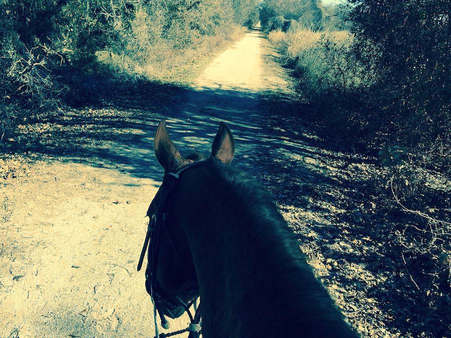 Texas' Lake Mineral Wells State Trailway | Photo by TrailLink user texasshooter