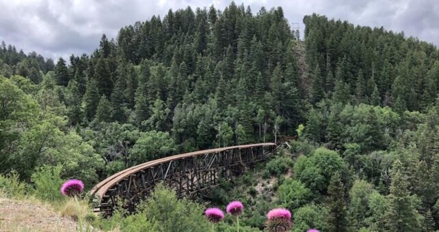 The 122-year-old Cloud-Climbing Trestle, also known as the Mexican Canyon Trestle | Photo by Cindy Barks