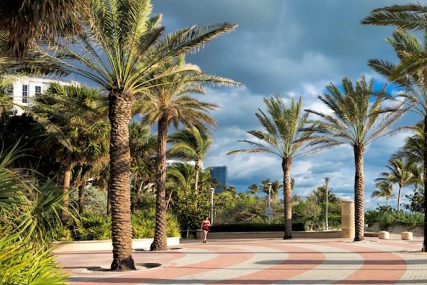 The Atlantic Greenway in South Beach is part of Florida’s 225-mile developing Miami LOOP. | Photo by Lee Smith