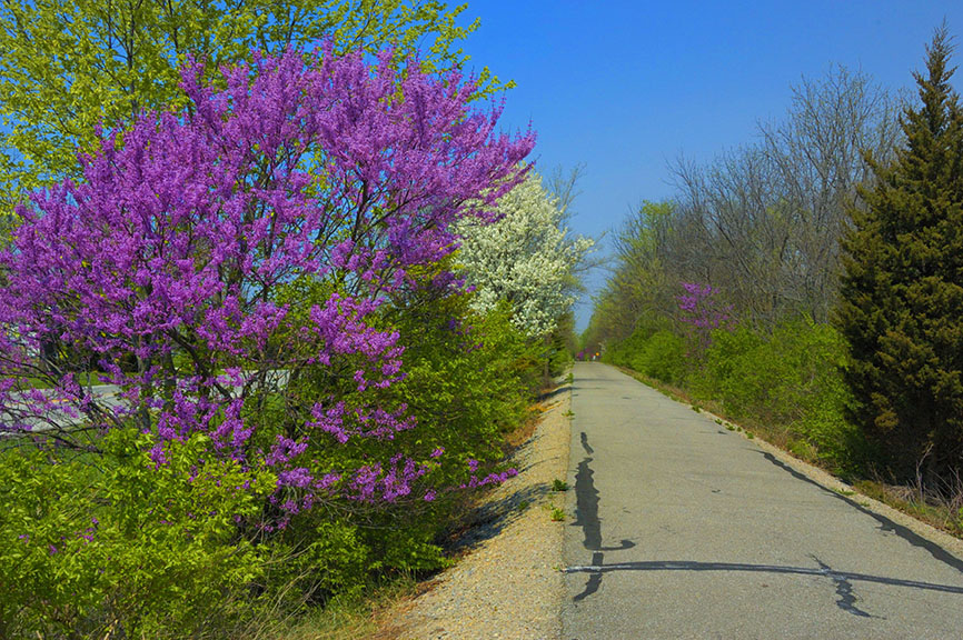 The Cardinal Greenway is celebrating its 25th year as a community treasure. | Photo courtesy Cardinal Greenways Inc