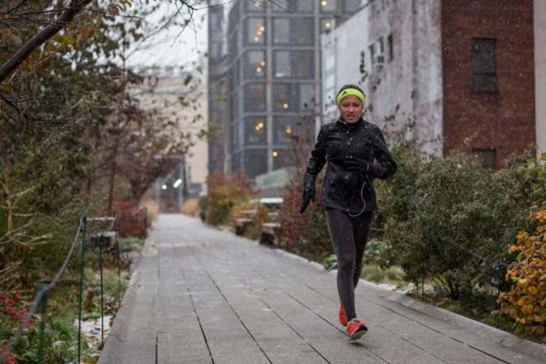 The High Line in New York City | Photo by Adrian Cabrero