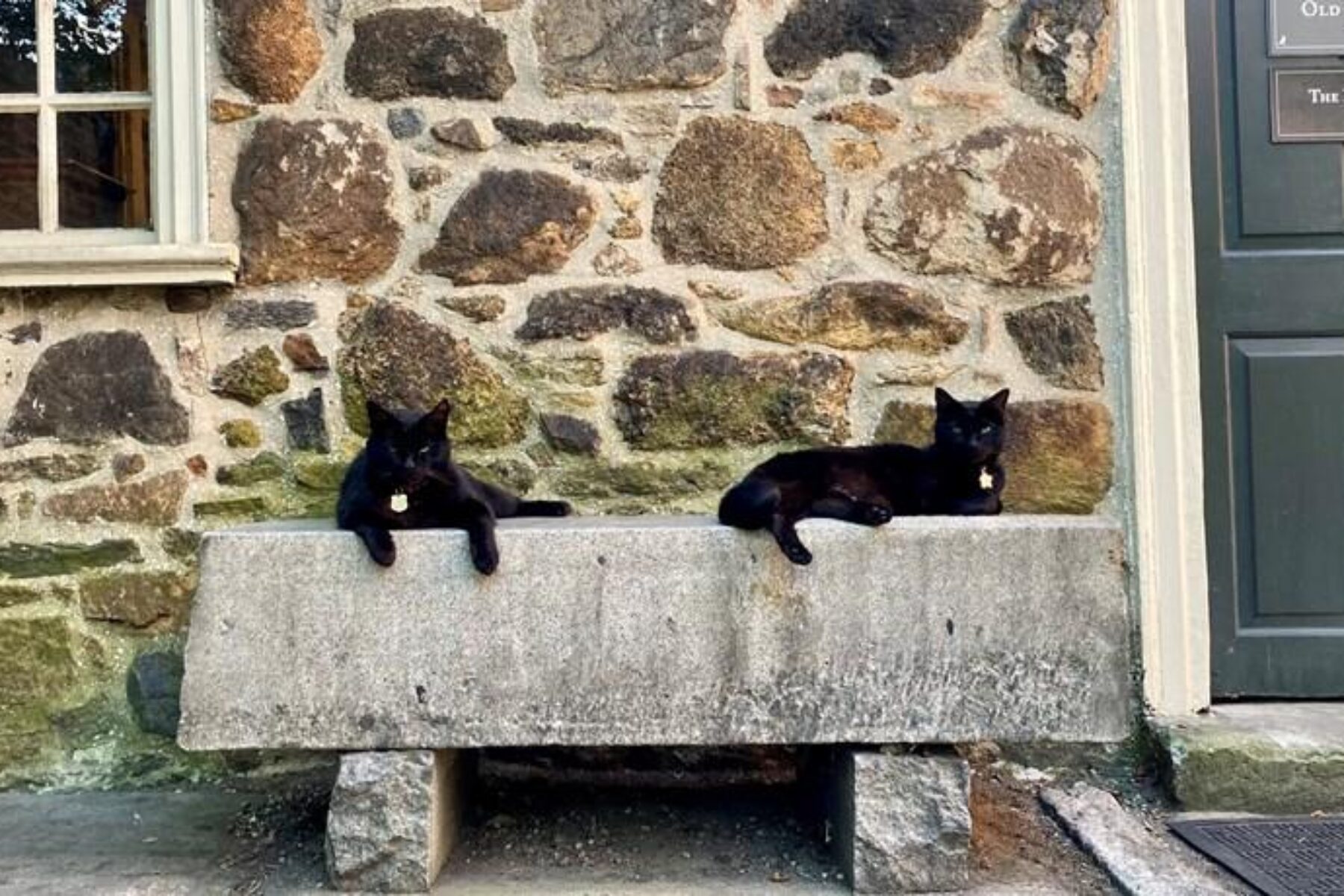 The Poe Museum and its famous kitty ambassadors, Edgar and Pluto, near the Virginia Capital Trail in Richmond | Photo courtesy The Poe Museum