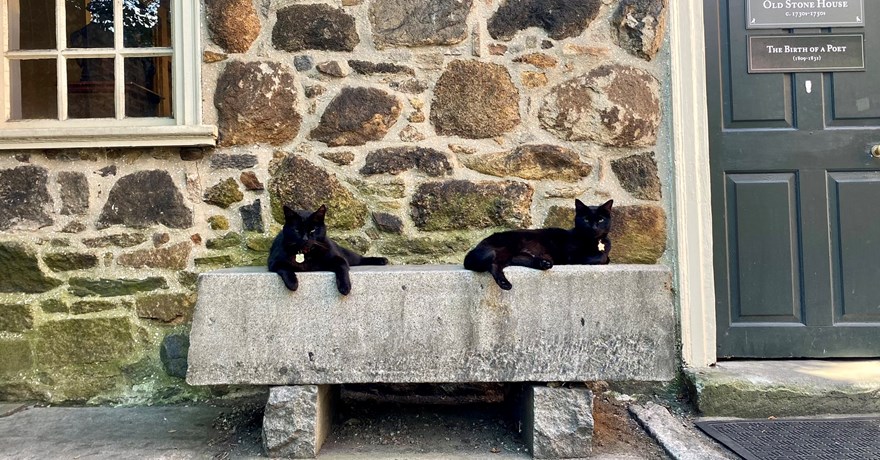 The Poe Museum and its famous kitty ambassadors, Edgar and Pluto, near the Virginia Capital Trail in Richmond | Photo courtesy The Poe Museum