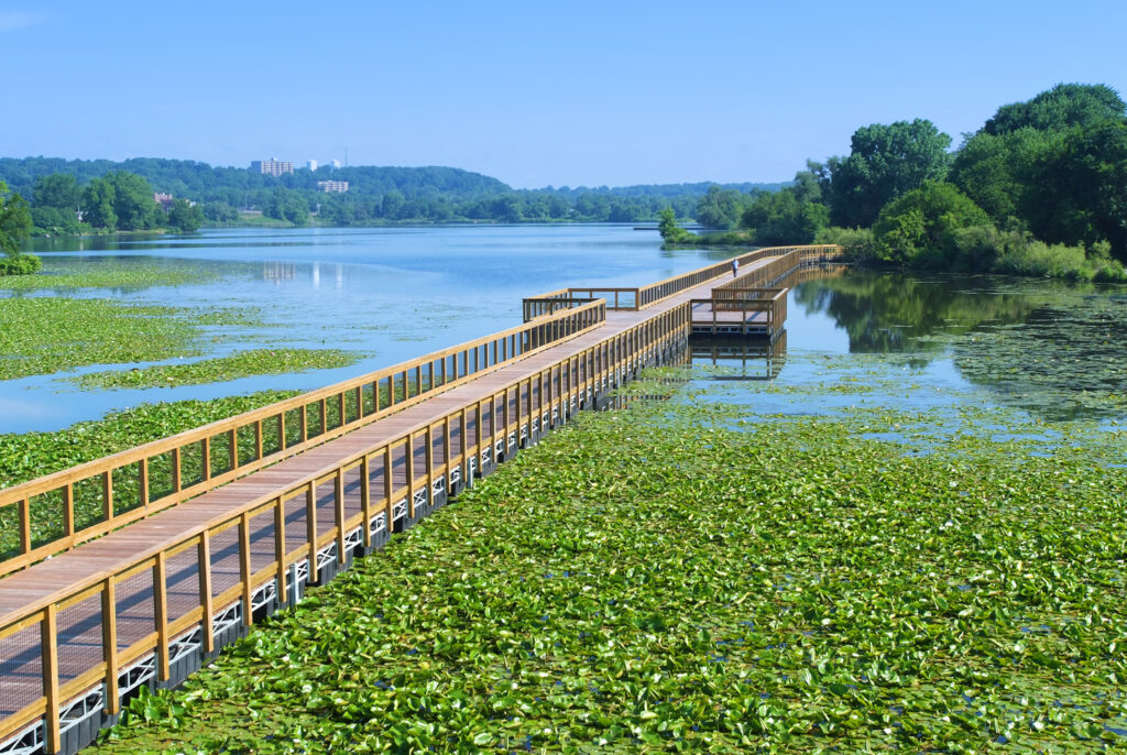 The Towpath Trail includes a floating bridge over Summit Lake. | Photo by Bruce Ford, courtesy Summit Metro Parks