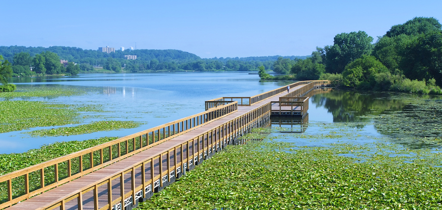 The Towpath Trail includes a floating bridge over Summit Lake. | Photo by Bruce Ford, courtesy Summit Metro Parks