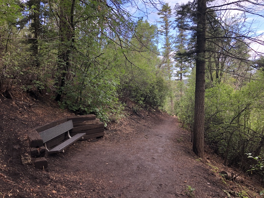 The hike to the Mexican Canyon Trestle passes through beautiful forest terrain. Benches and signs are located all along the route. | Photo by Cindy Barks