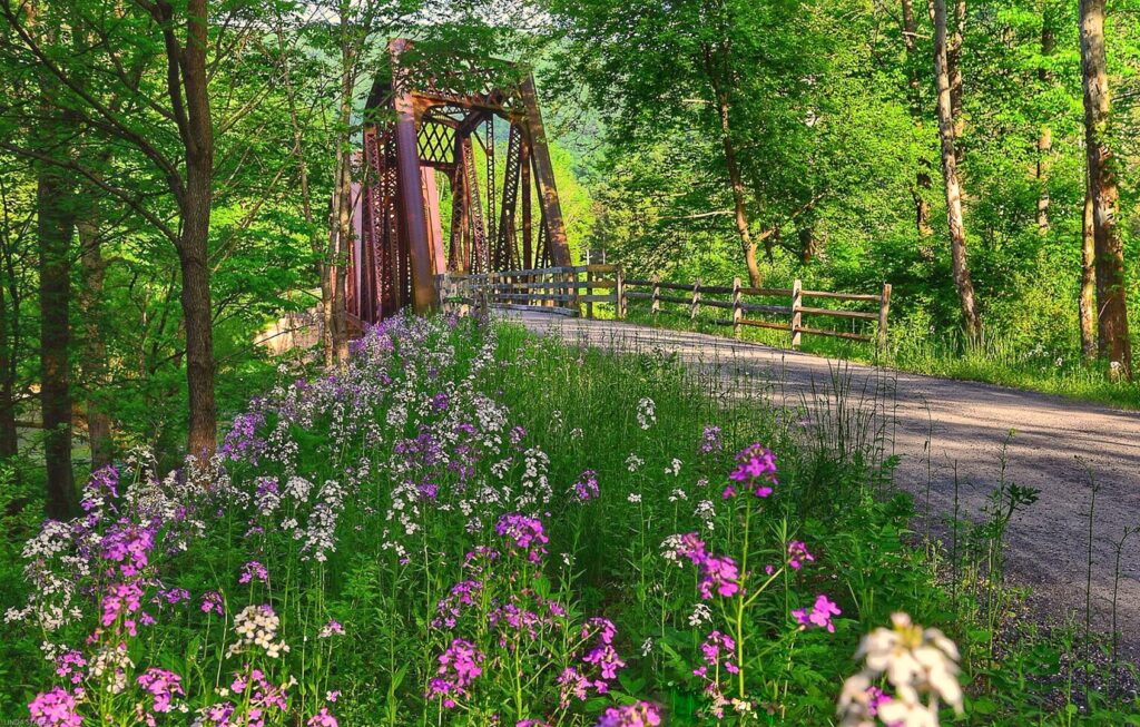 The rail-trail offers several bridge crossings over Pine Creek | Photo by Linda Stager, author of the Pine Creek Rail Trail Guidebook