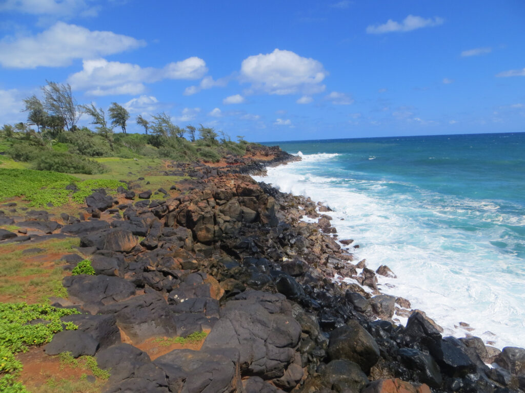 The rocky coast of Kauai seen from Ke Ala Hele Makalae | Photo by Stacey Ireland