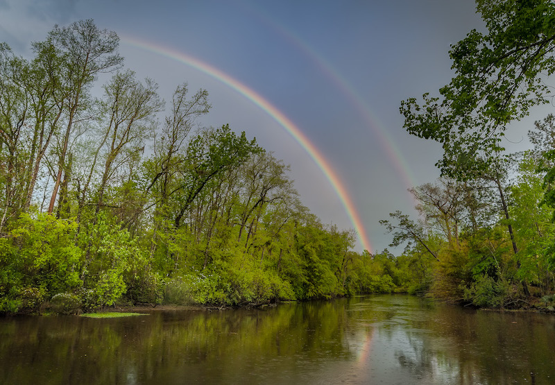 The scenic Abita River in Covington | Photo by Anita Merrigan