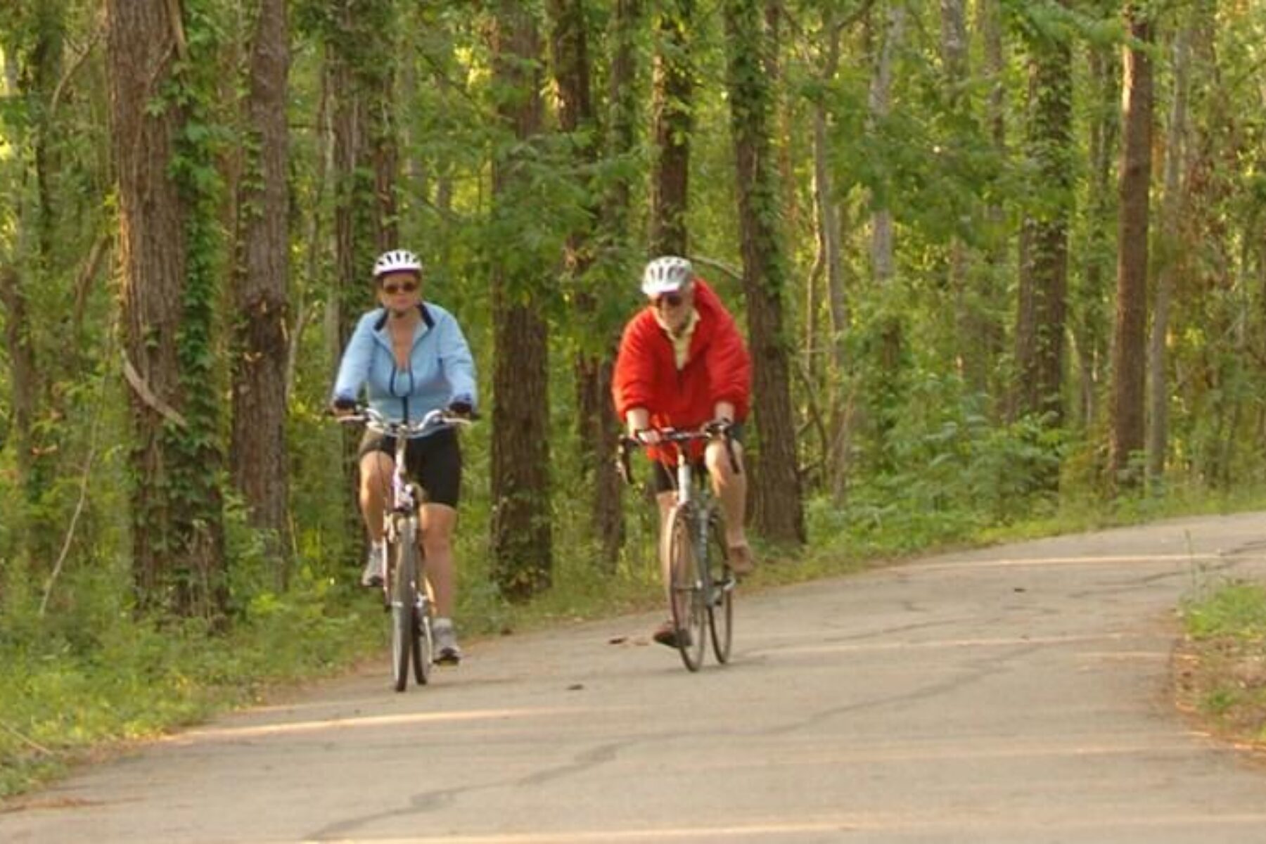 The trail winds through St. Tammany Parish towns and green spaces | Courtesy LouisianaNorthshore.com