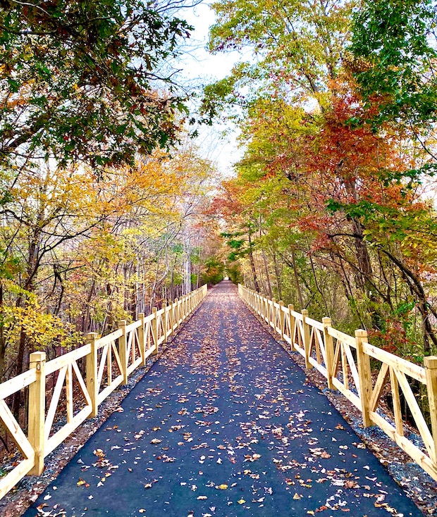 Thermal Belt Rail Trail | Photo by Steve Garrison