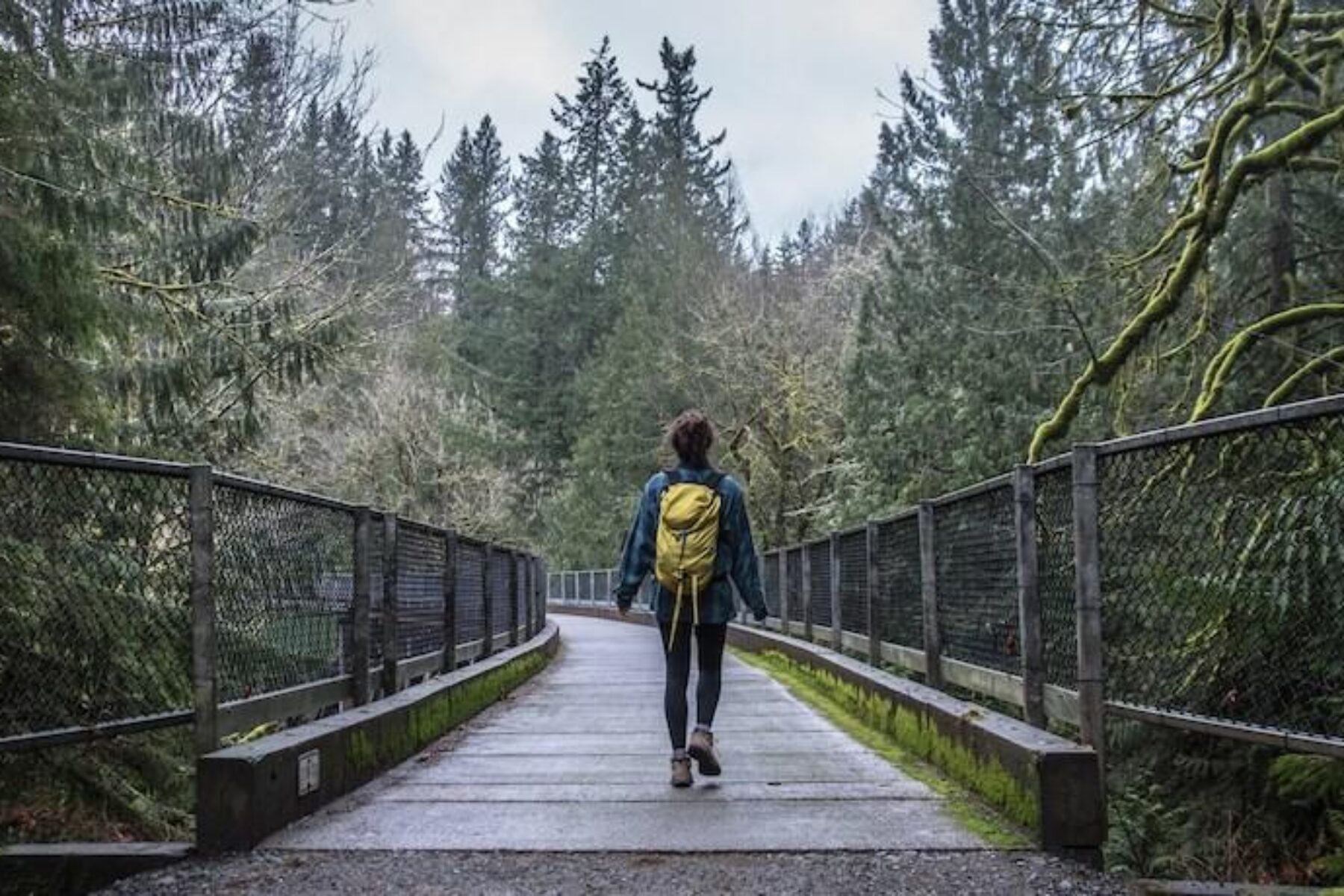 Tokul Trestle on the Snoqualmie Valley Trail | Photo by Eli Brownell, courtesy King County Parks