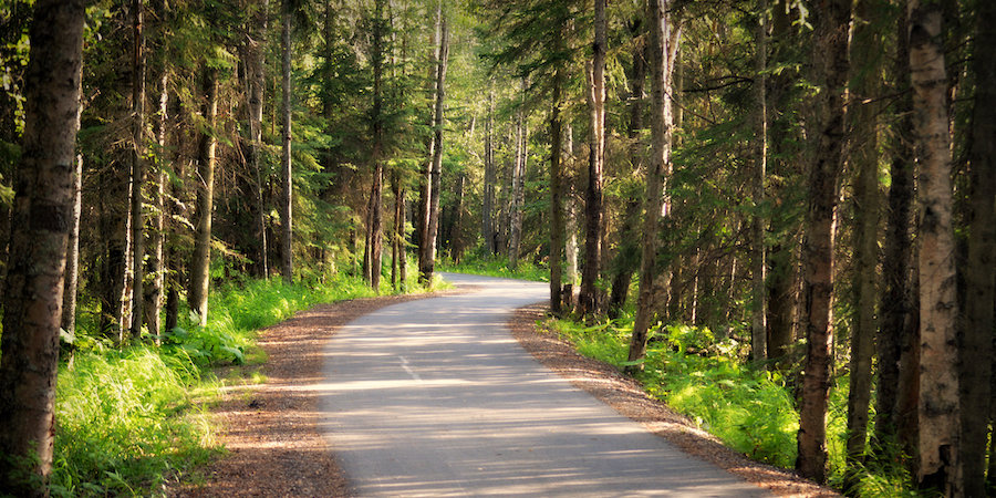 Tony Knowles Coastal Trail | Photo courtesy Luv Duck Photography