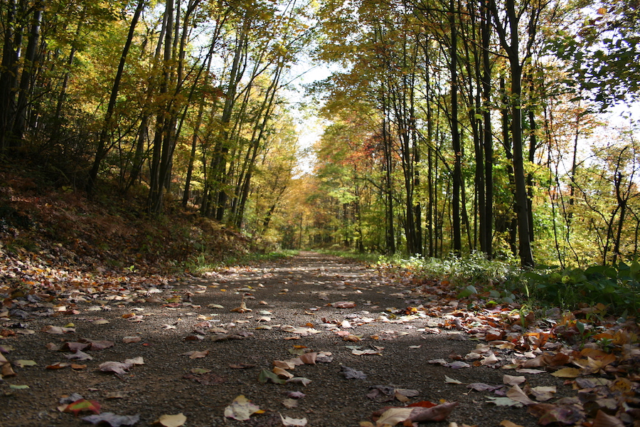 Trees shade most of the trail’s path. | Photo by Warren and David Hollis