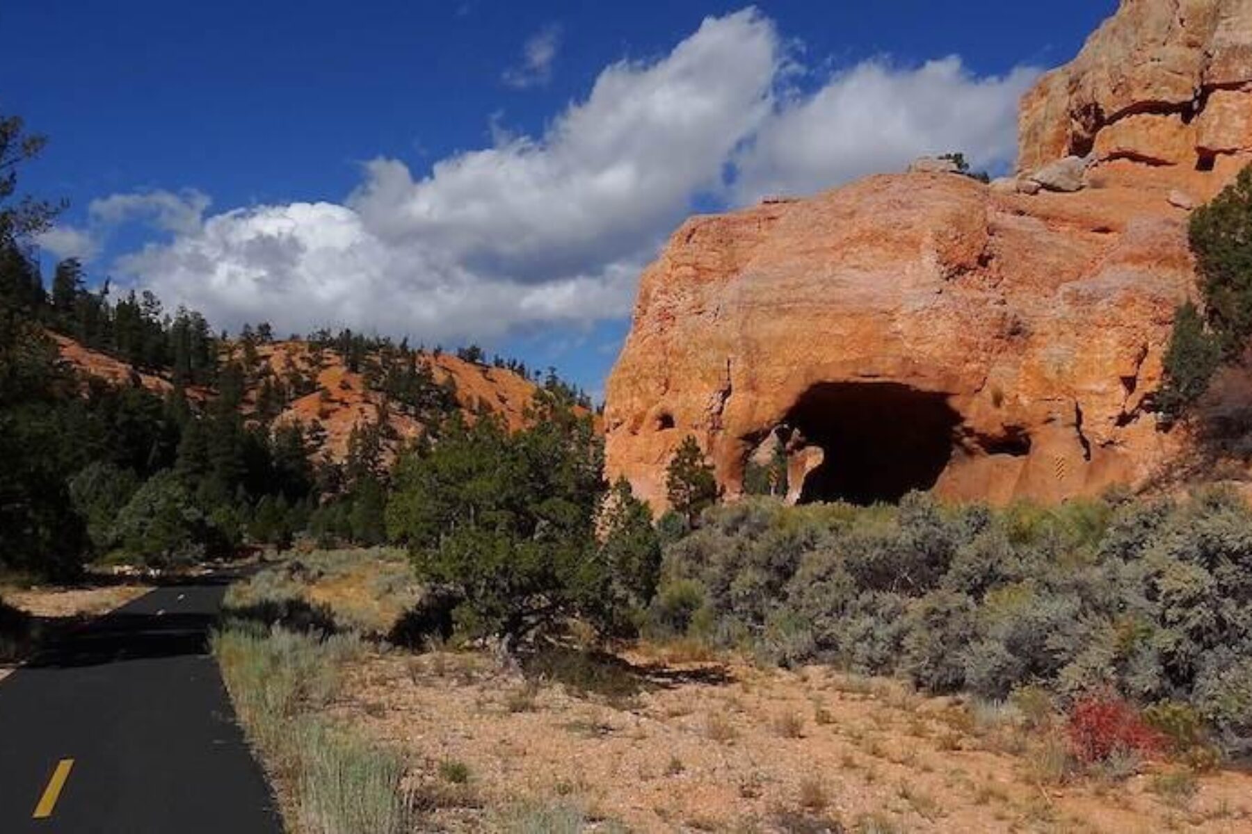 Utah's Red Canyon Bicycle Trail | Photo by TrailLink user acewickwire