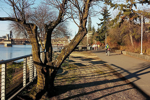 Vera Katz Eastbank Esplanade in Oregon | Photo by TrailLink user dabiker