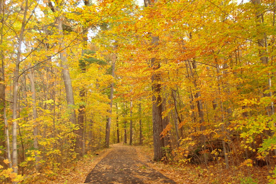 Vermont's Ethan Allen Park | Photo Courtesy of Burlington Parks, Recreation & Waterfront VT