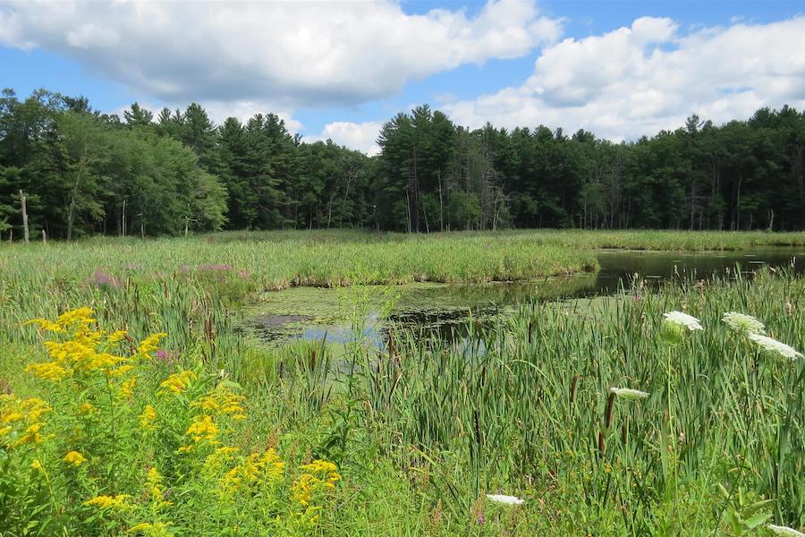 View from New Hampshire's Derry Rail Trail | Photo by TrailLink user letswalk4949