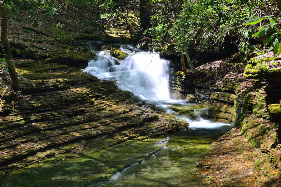 View from Virginia's Devil’s Fork Loop Trail | Photo by TrailLink user cearly