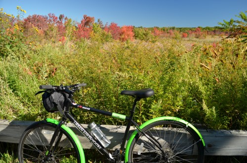 View from the Minuteman Bikeway | Photo by Paul Bloomfield