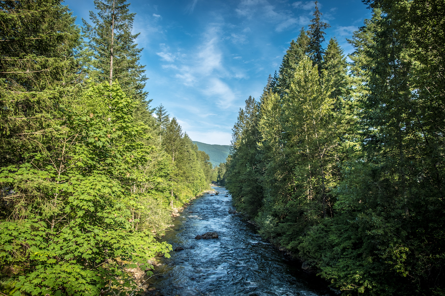 View from the Snoqualmie Valley Trail | Photo by Eli Brownell, courtesy King County Parks