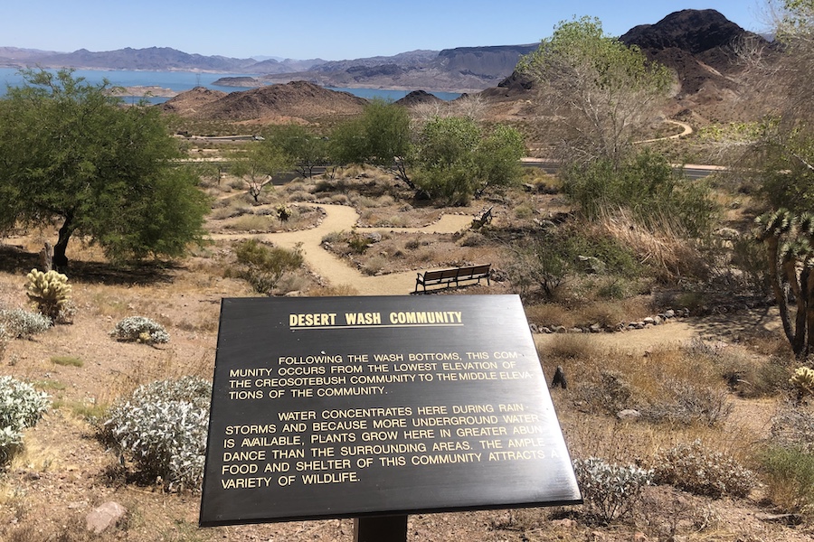 View of Historic Railroad Trail from the Alan Bible Visitor Center | Photo by Cindy Barks