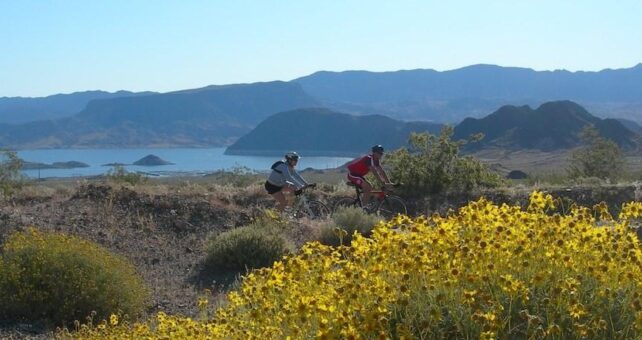 View of Lake Mead along the River Mountains Loop Trail | Photo by John Holman