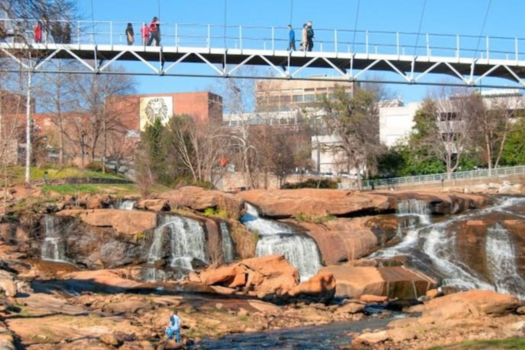View of Liberty Bridge from the Swamp Rabbit Trail | Photo by Barry Peters
