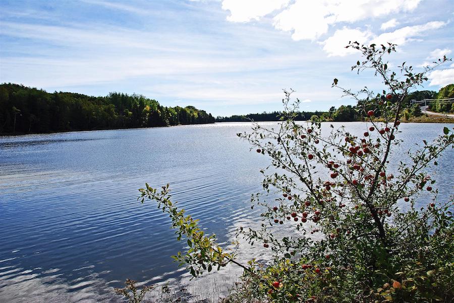 View of Machias River along the Down East Sunrise Trail | Photo by TrailLink user sc301