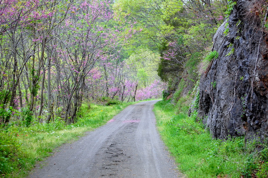 Virginia's New River Trail State Park | Photo Courtesy Virginia DCR