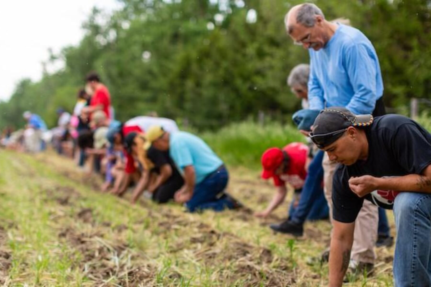 Volunteers participate in a sacred corn planting in 2019, sowing the seeds by hand. | Photo by Alex Matzke, courtesy Bold Nebraska