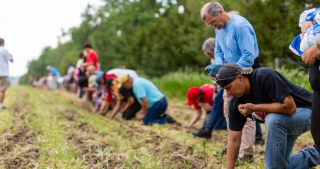 Volunteers participate in a sacred corn planting in 2019, sowing the seeds by hand. | Photo by Alex Matzke, courtesy Bold Nebraska