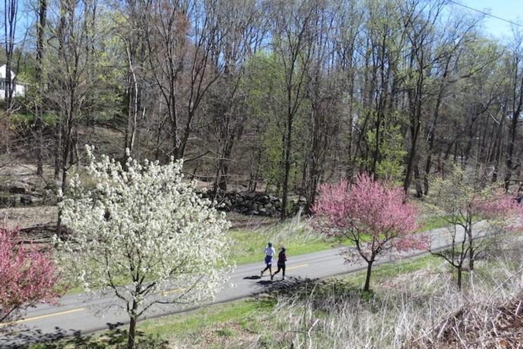 W&OD Trail | Photo by Scott Stark