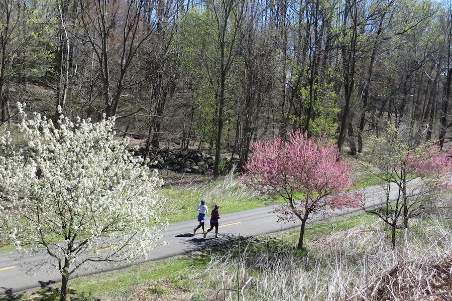 W&OD Trail en Virginia | Foto de Scott Stark