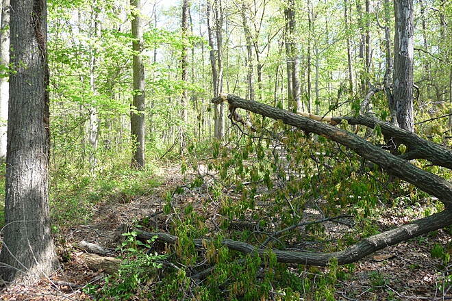 Washington, D.C.'s Fort Circle Park Hiker-Biker Trail | Photo courtesy Rails-to-Trails Conservancy