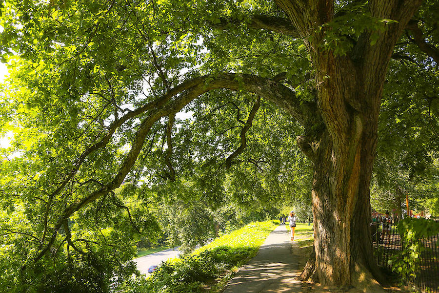 Washington, D.C.'s Rock Creek Park Trails | Photo courtesy Rails-to-Trails Conservancy