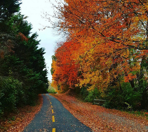 Washington and Old Dominion Railroad Regional Park | Photo by Chai Hoang