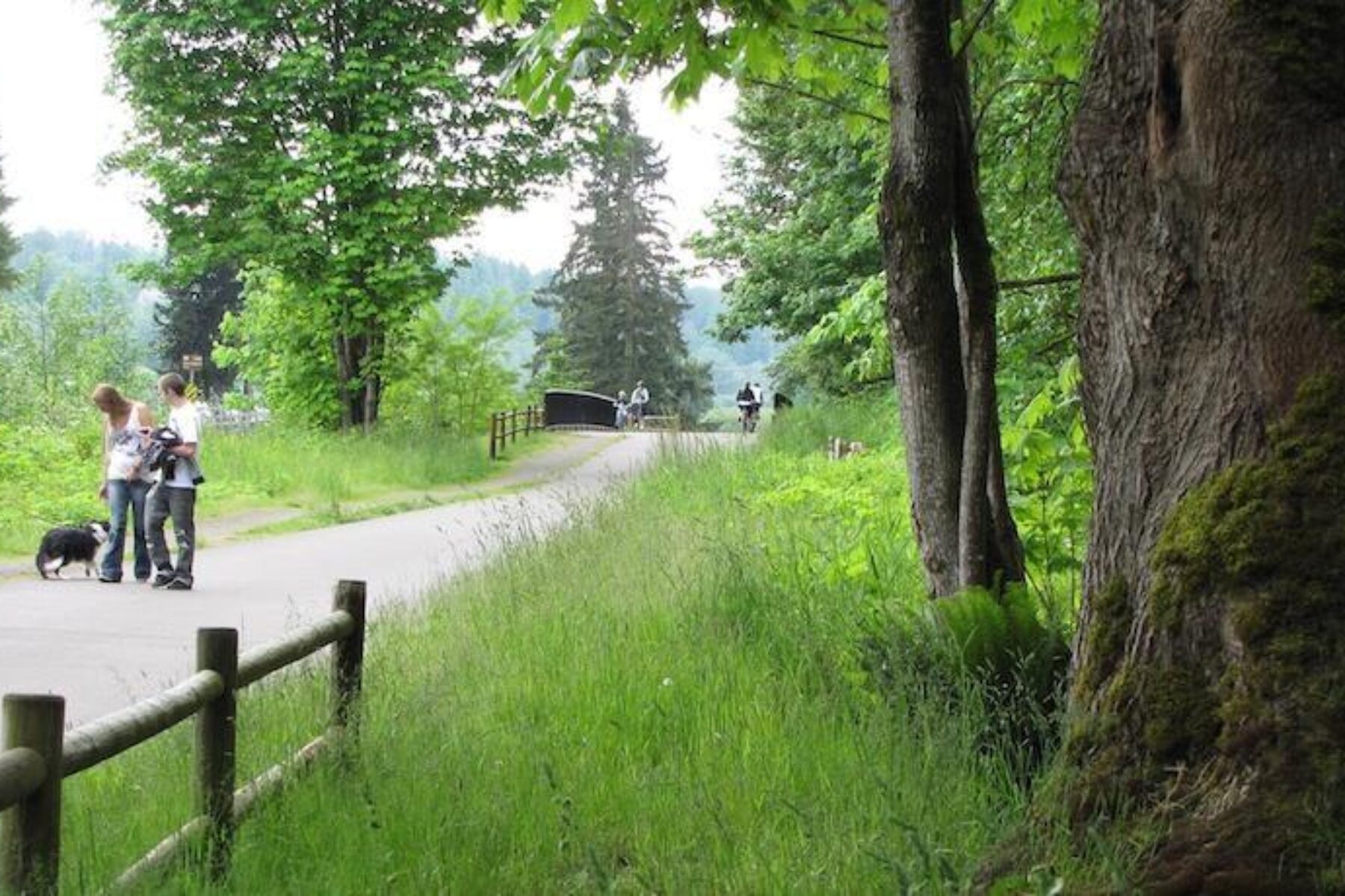 Washington's Centennial Trail | Photo by Barbara Richey